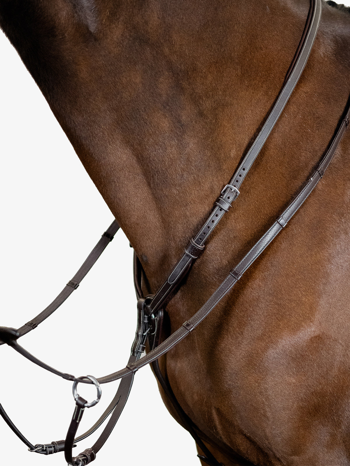 Martingale Seoul Brown Leather