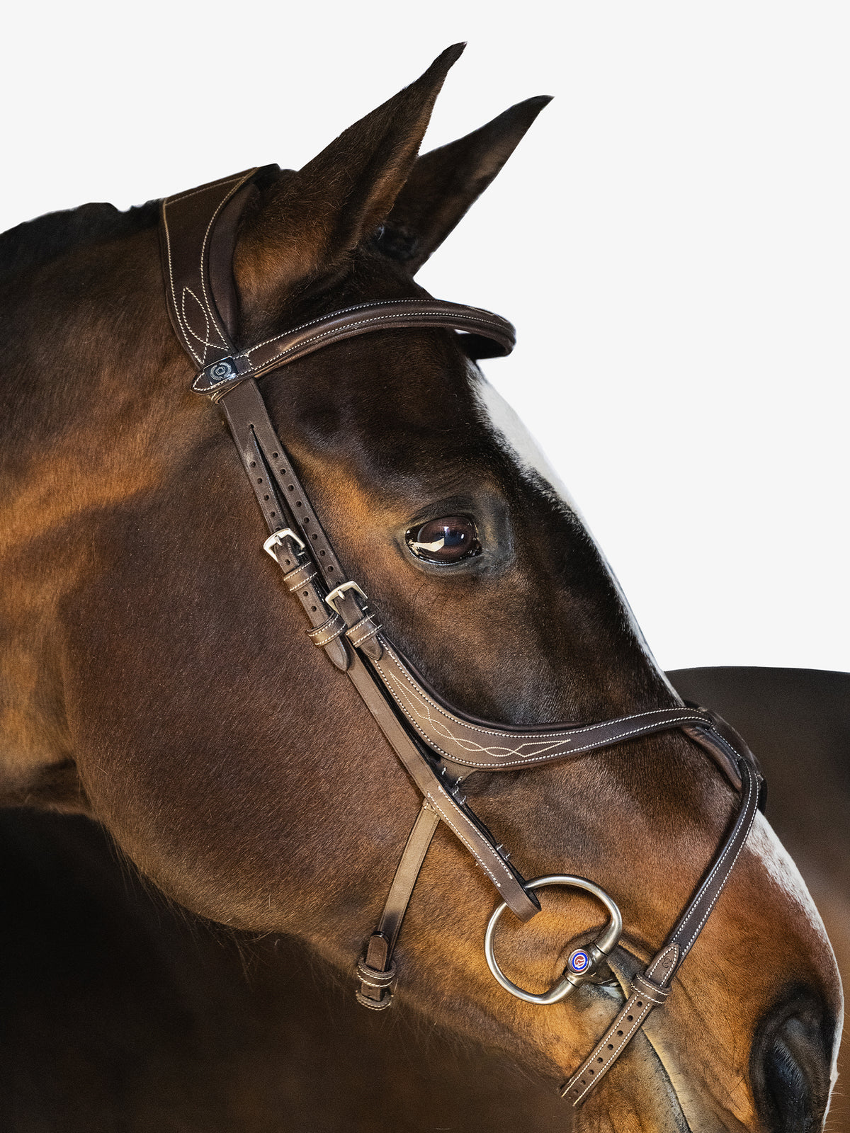 Bridle Athens Brown Leather