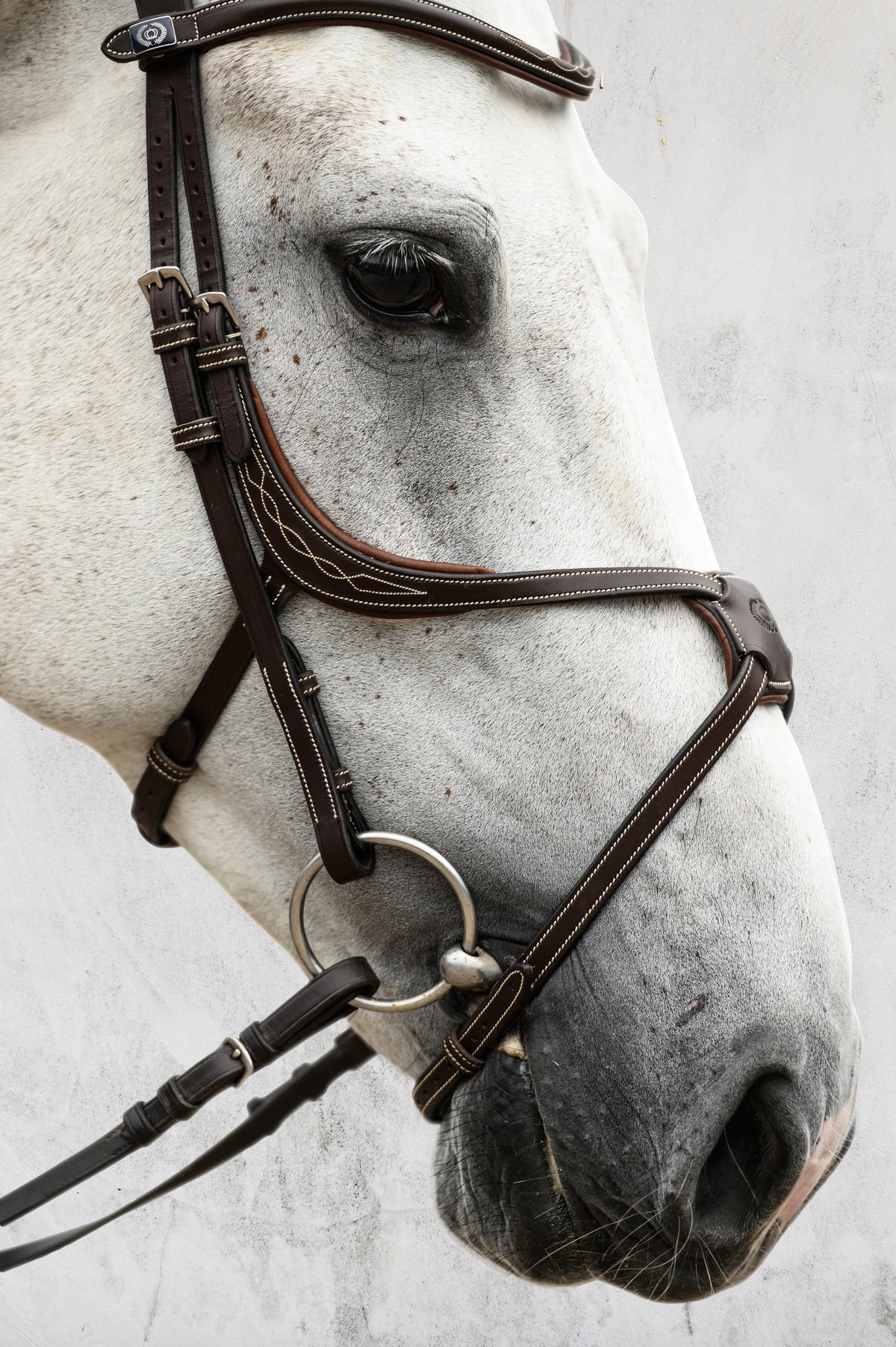Bridle Athens Brown Leather