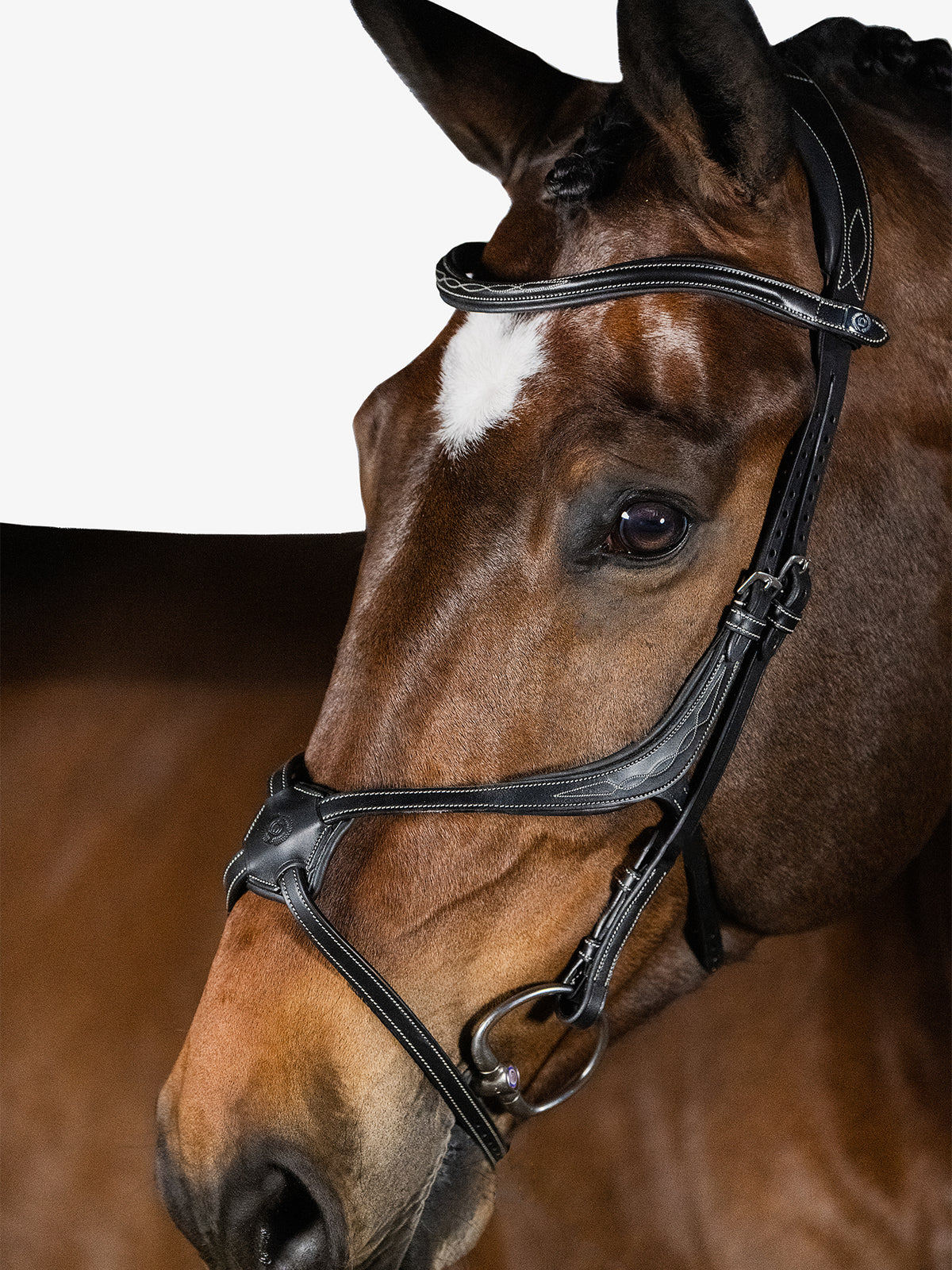 Bridle Athens Black Leather