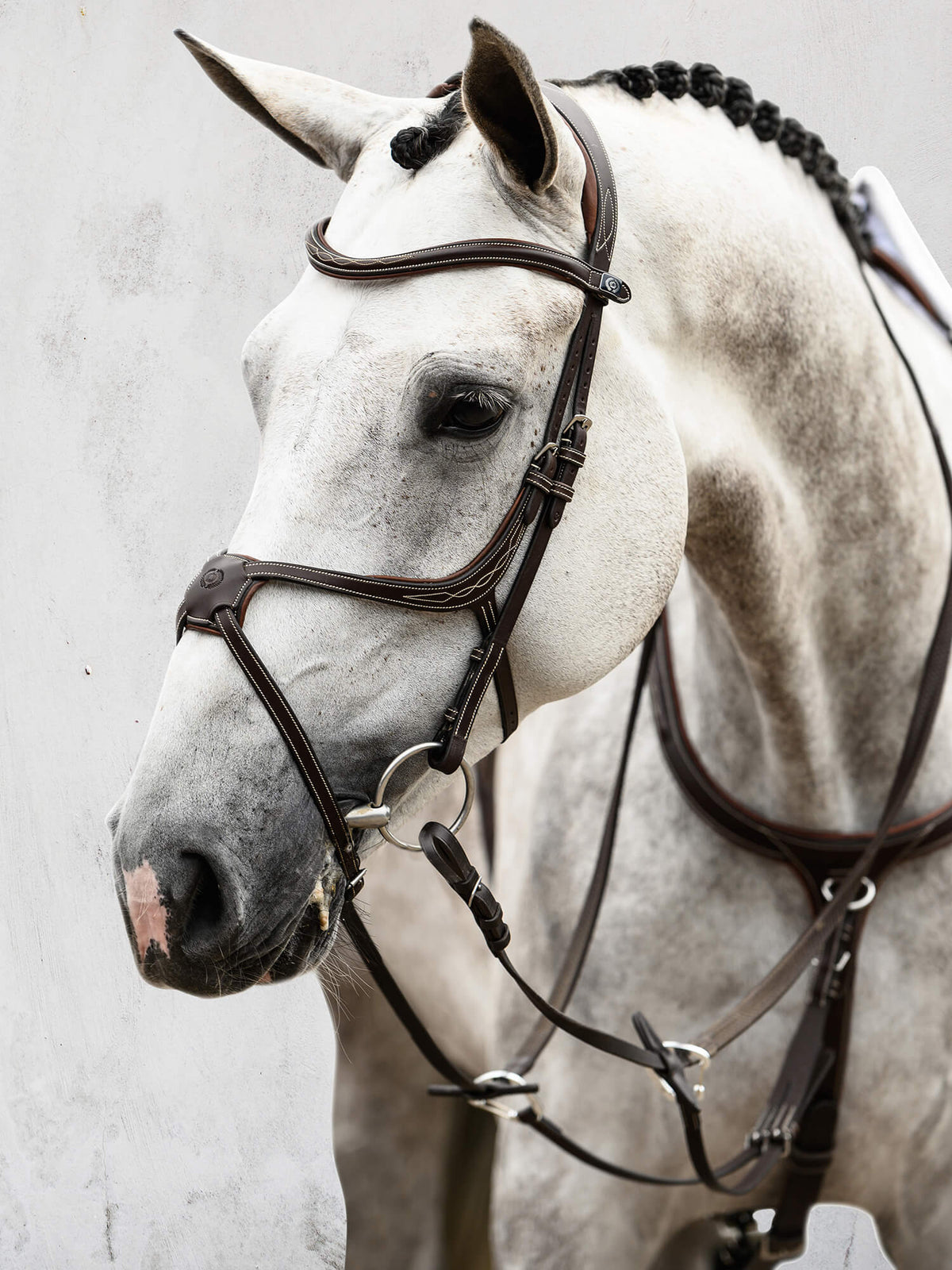 Bridle Athens Black Leather