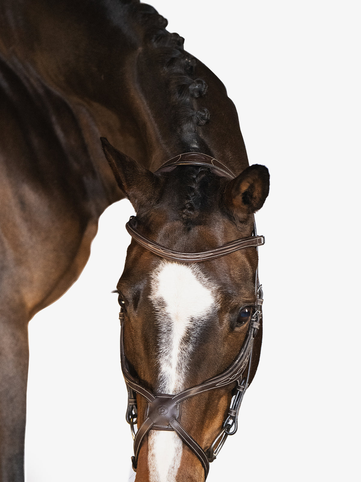Bridle Athens Brown Leather