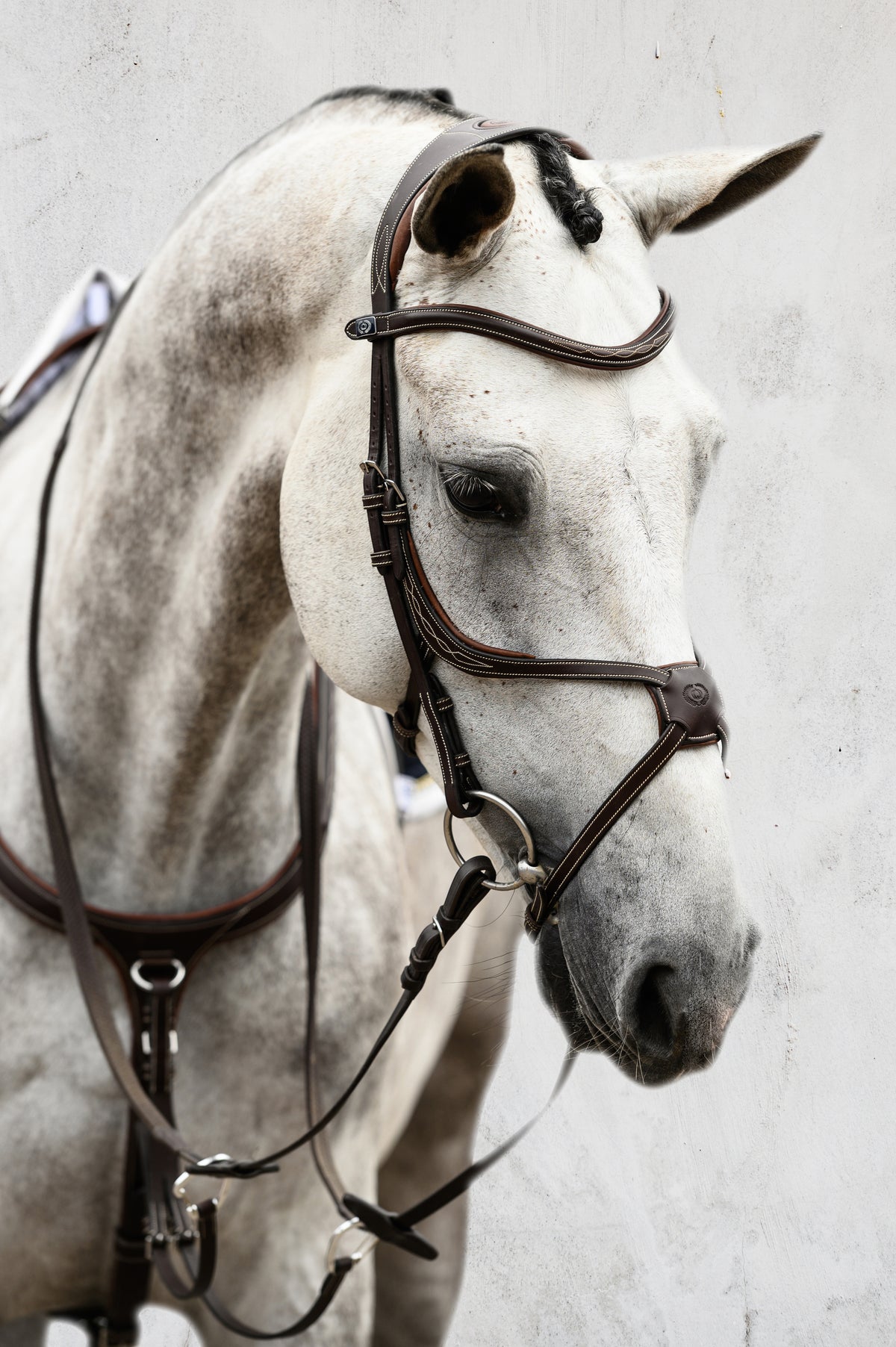 Bridle Athens Brown Leather