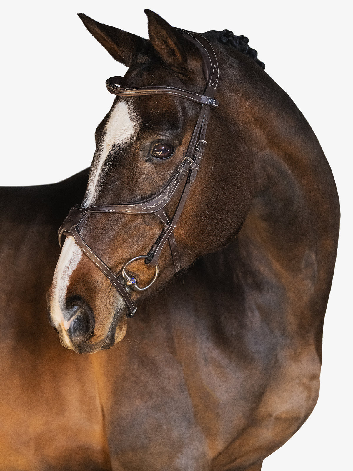Bridle Athens Brown Leather