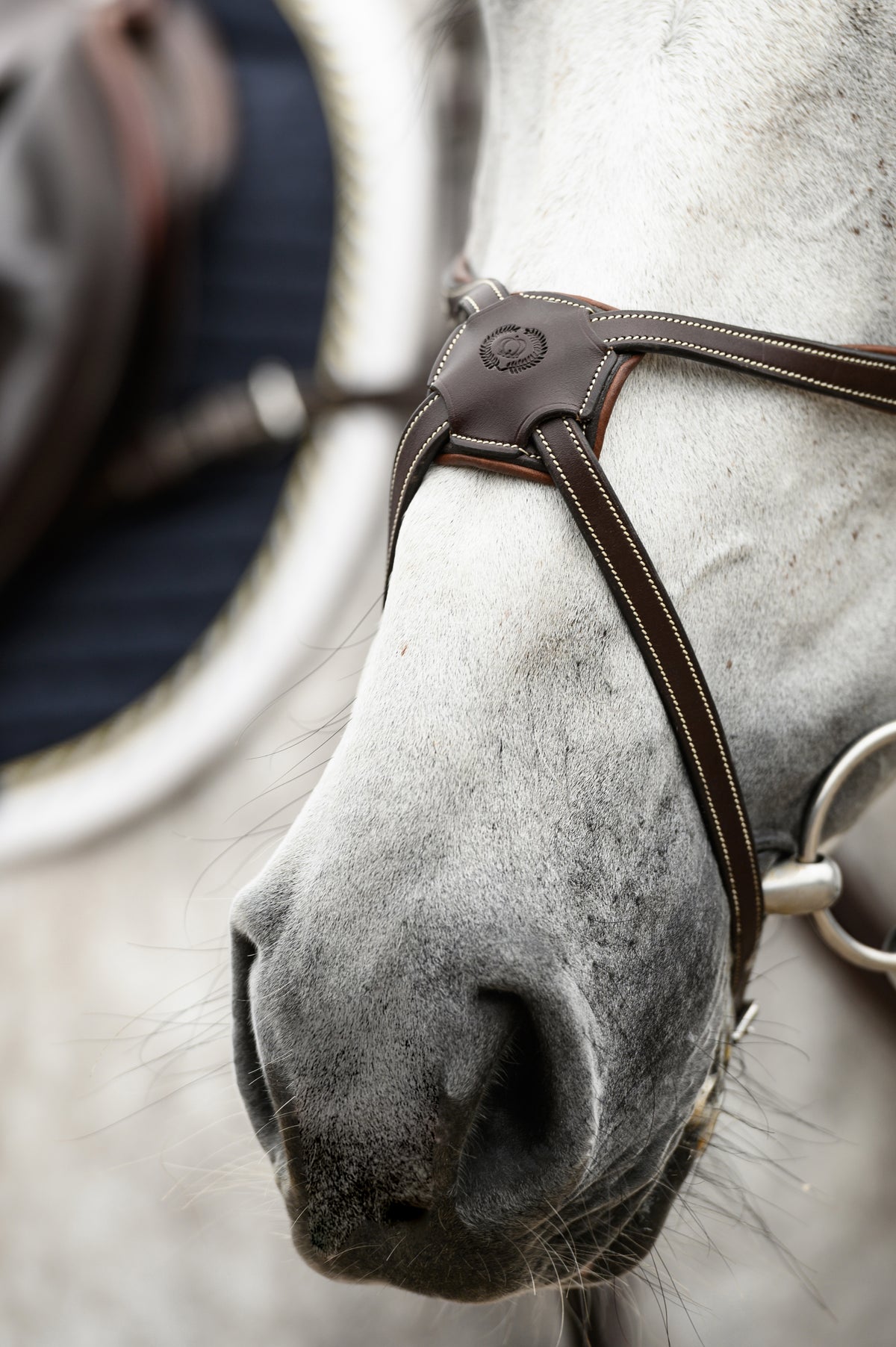 Bridle Athens Brown Leather
