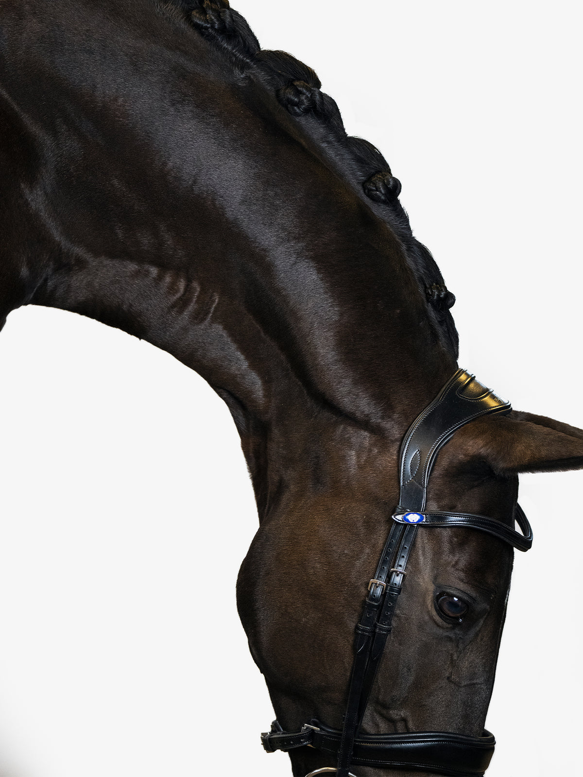 Bridle Flying Change Black Leather