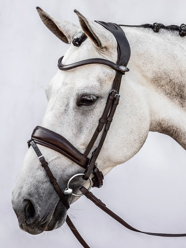 Bridle Flying Change Brown Leather