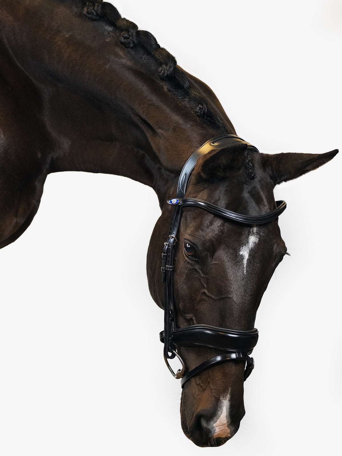 Bridle Flying Change Black Leather