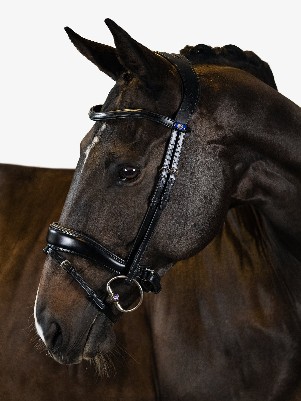 Bridle Flying Change Black Leather