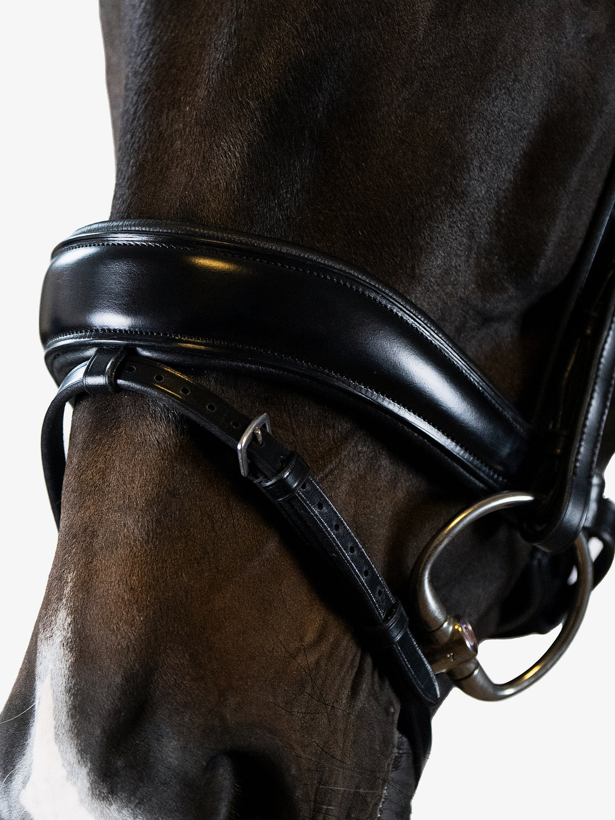 Bridle Flying Change Black Leather