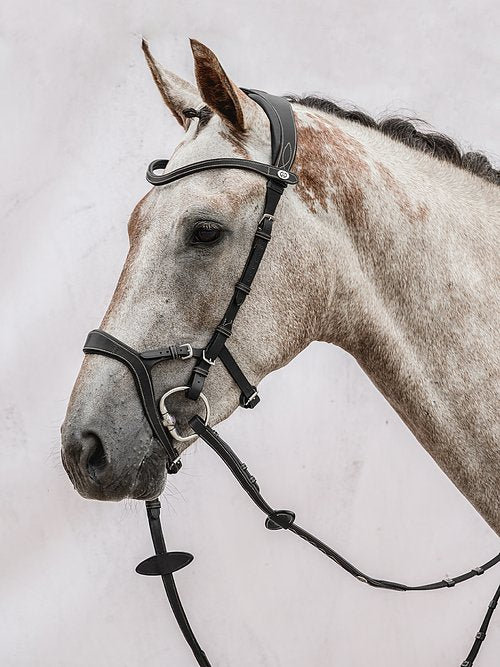 Bridle Nirak Black Leather