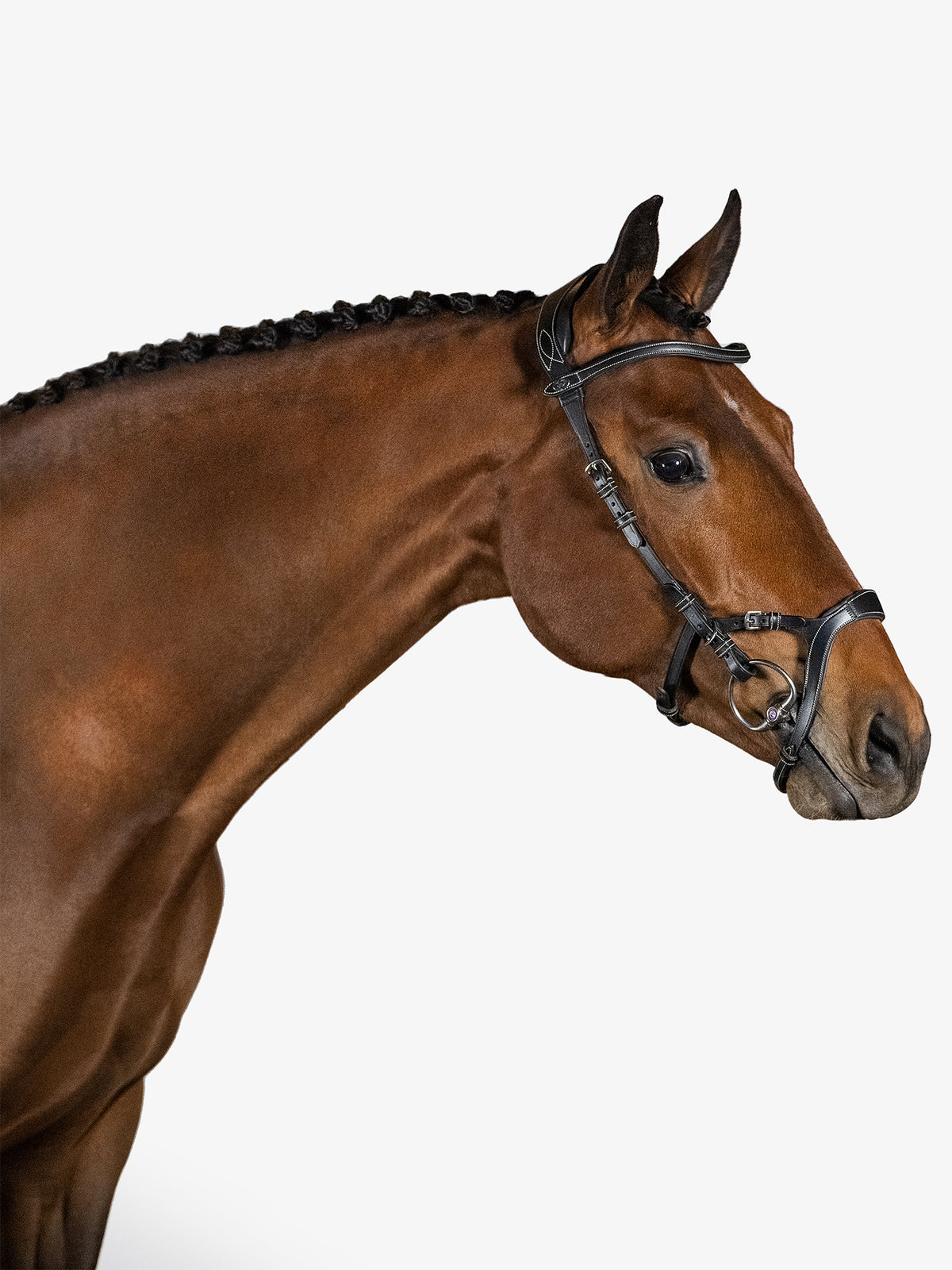 Bridle Nirak - Black Leather