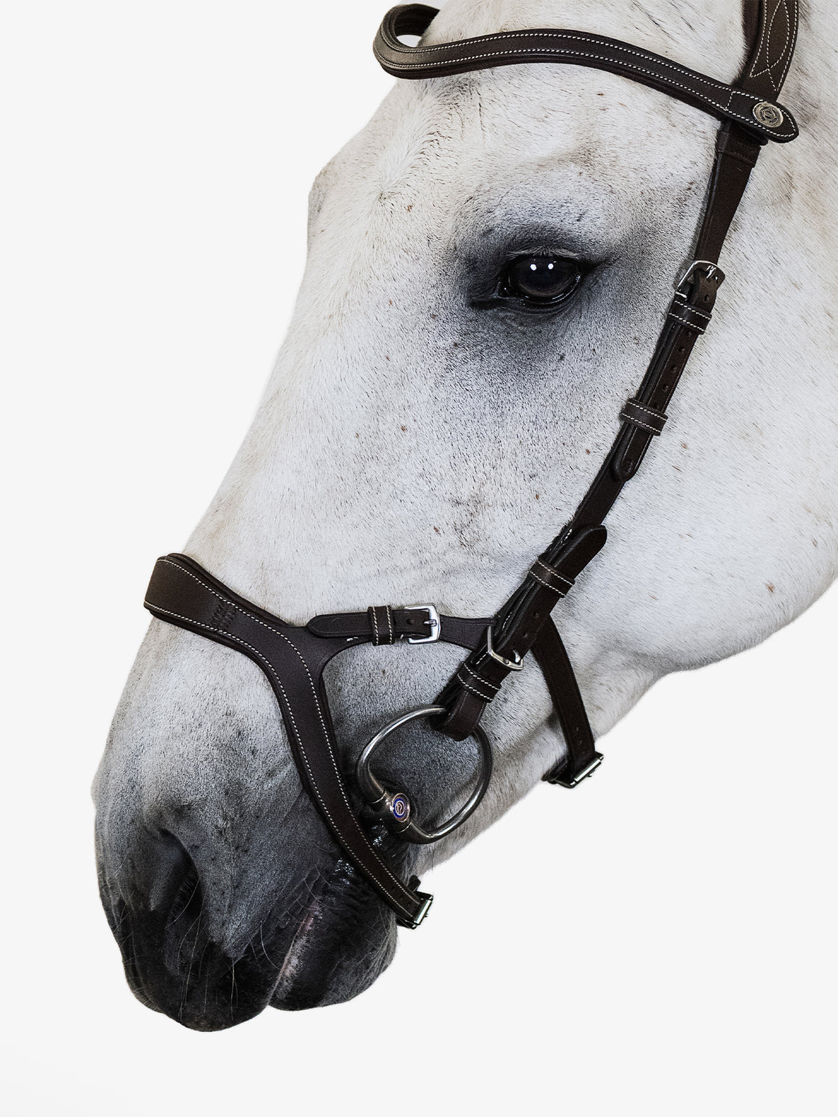 Bridle Nirak Brown Leather