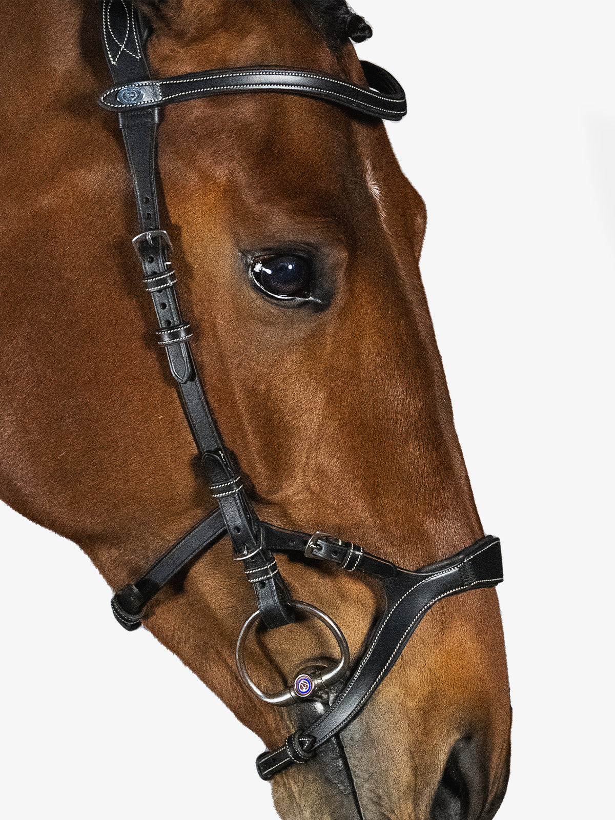 Bridle Nirak - Black Leather