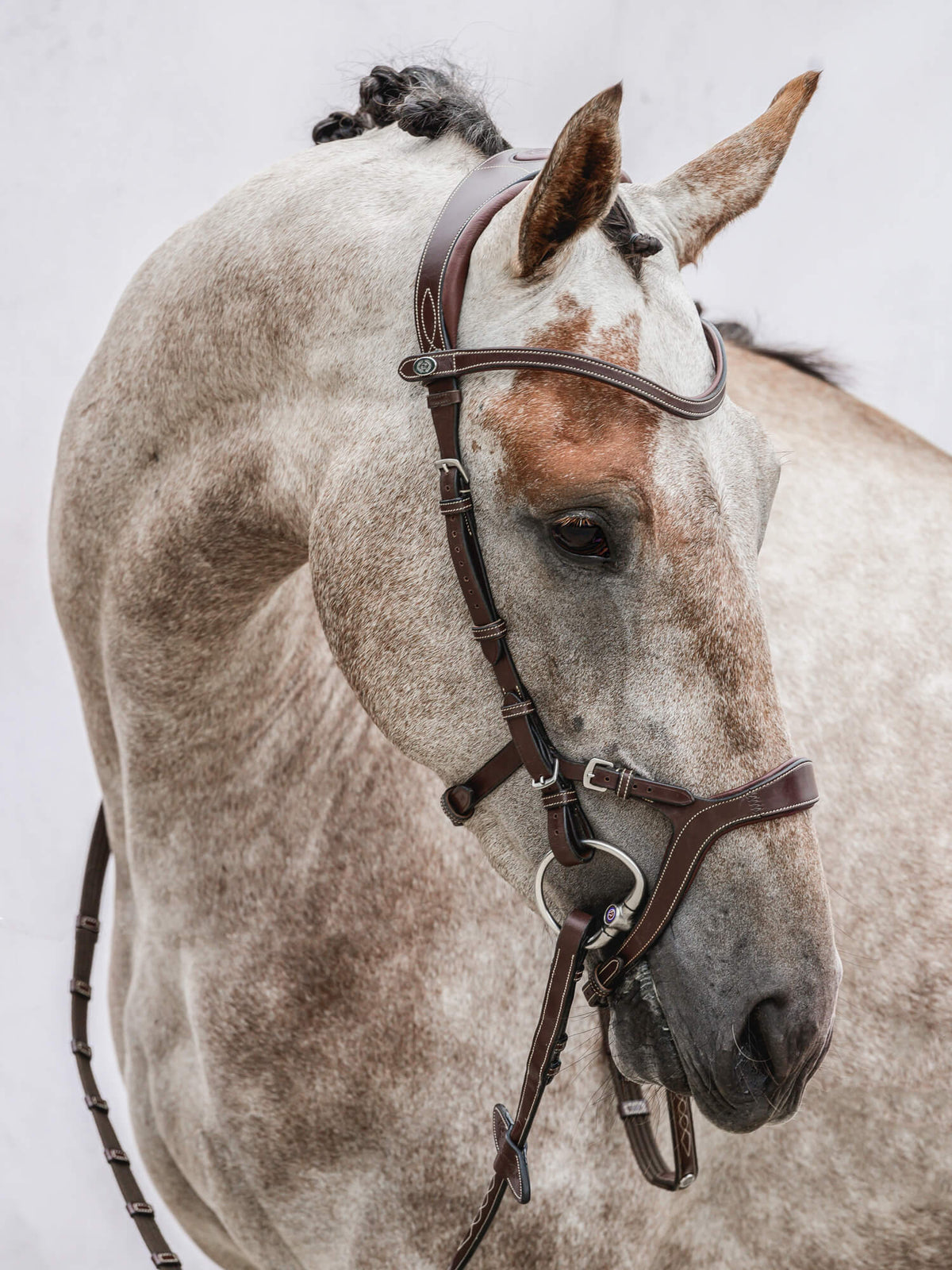 Bridle Nirak Brown Leather