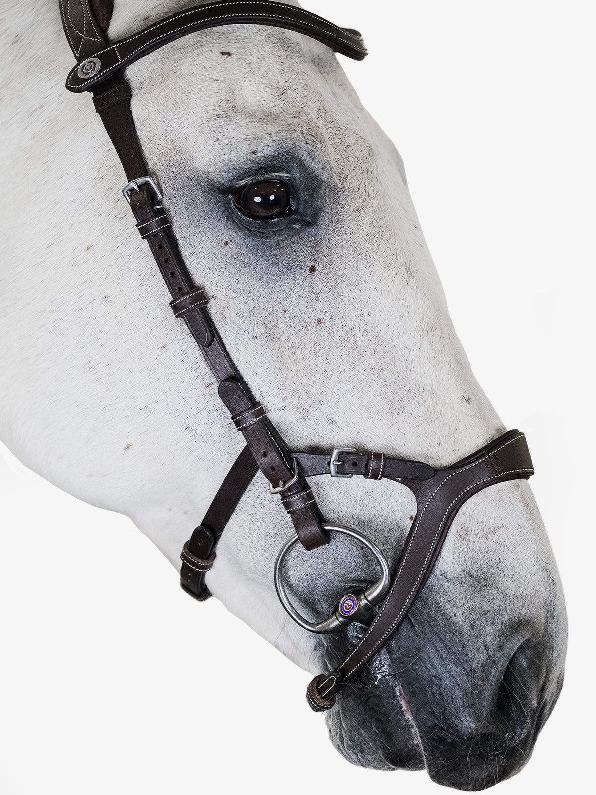 Bridle Nirak Brown Leather