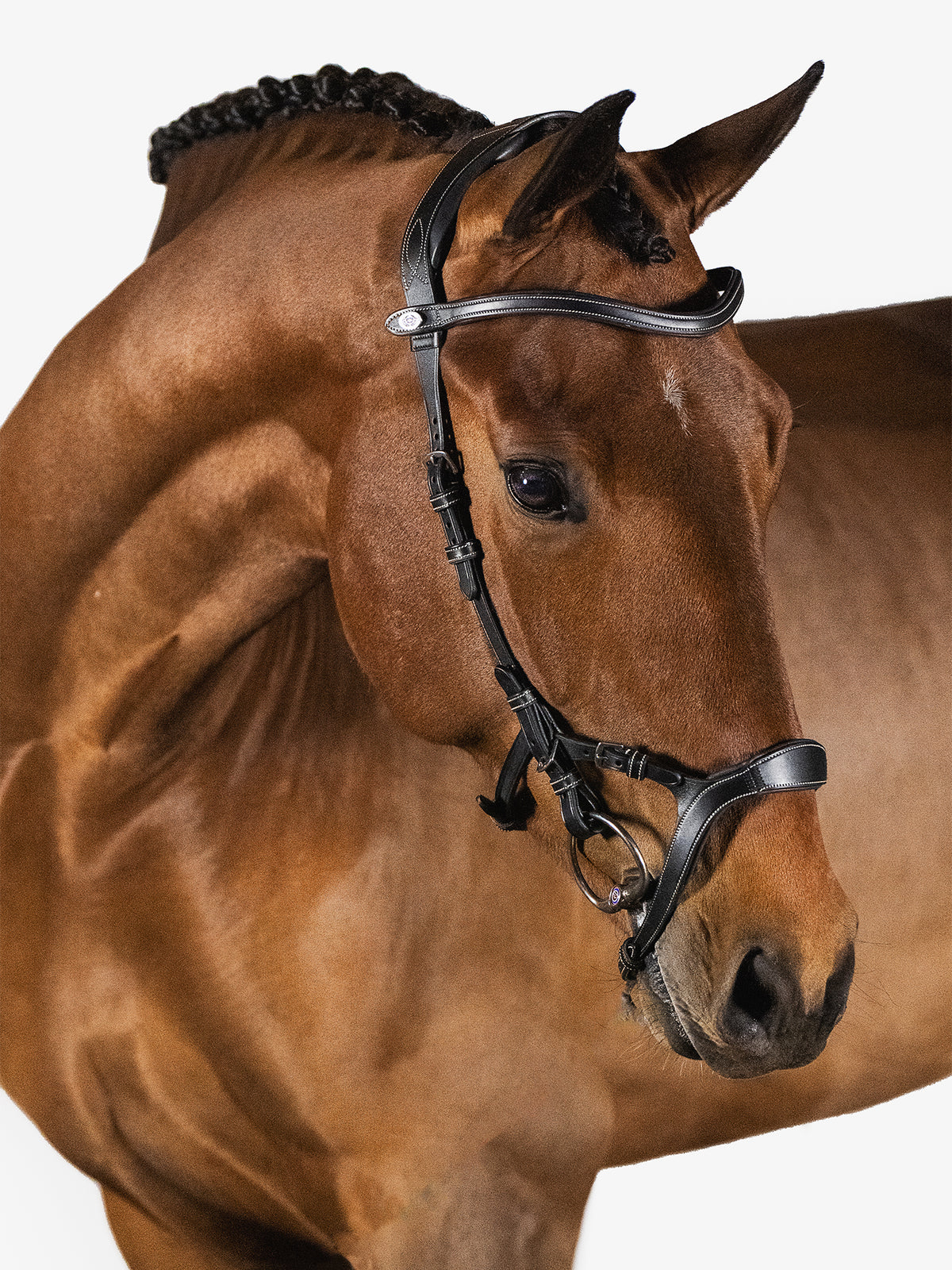 Bridle Nirak - Black Leather