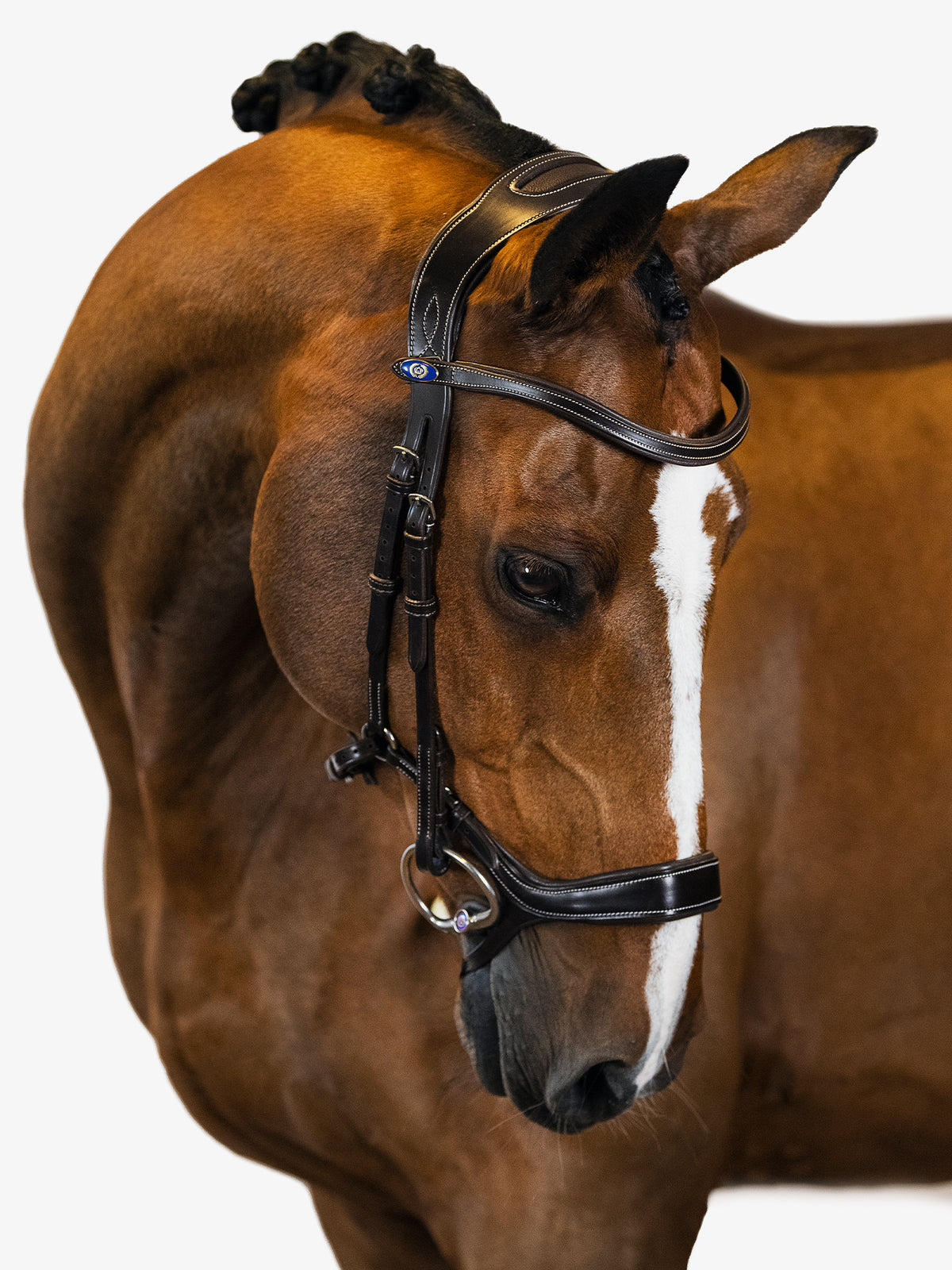 Bridle Pioneer Brown Leather