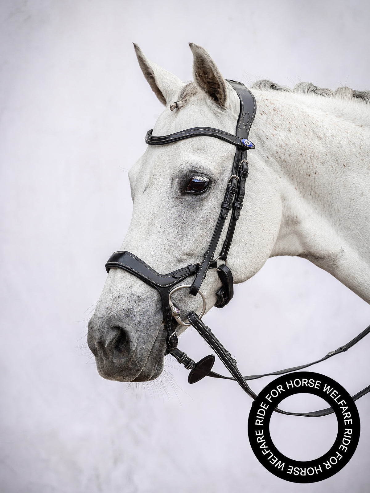 Bridle Pioneer - Black Leather