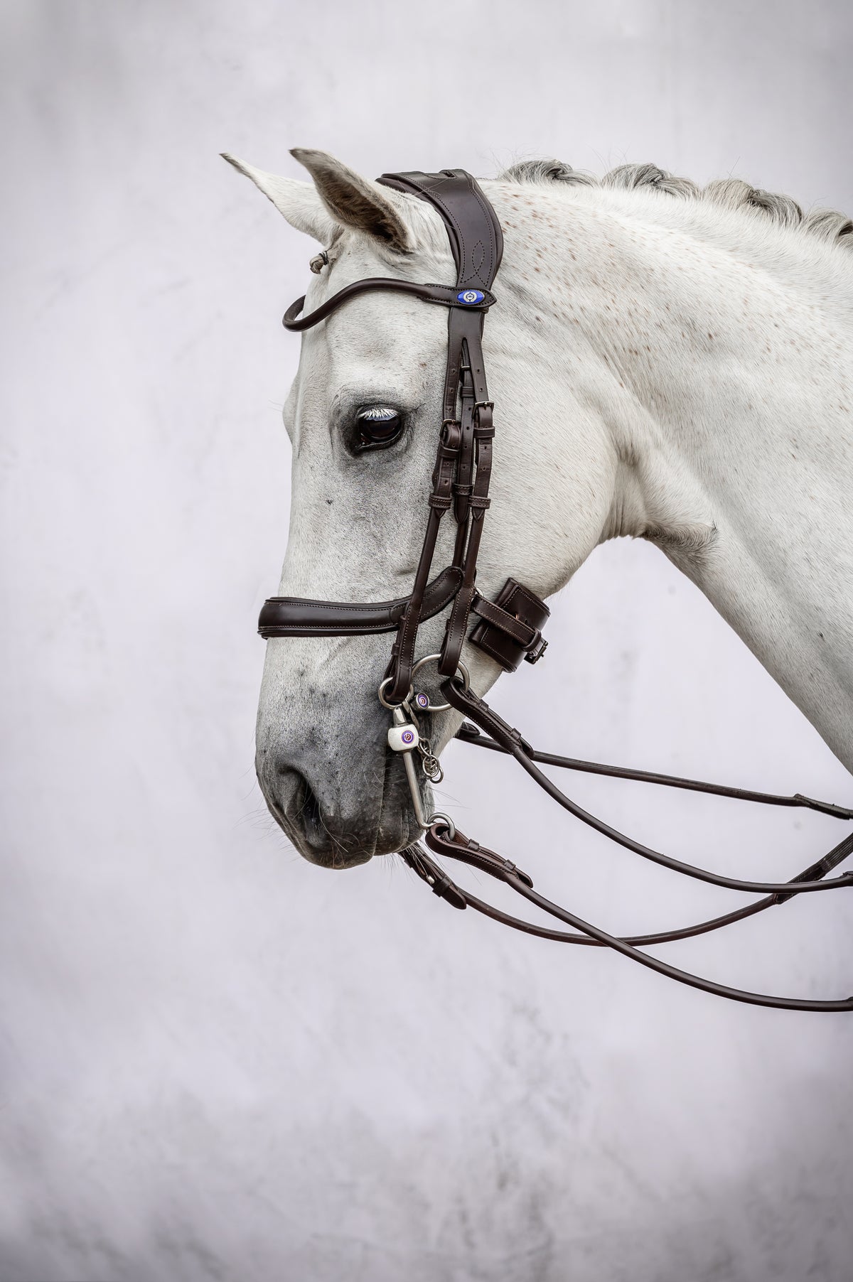Double Bridle Paragon Brown Leather