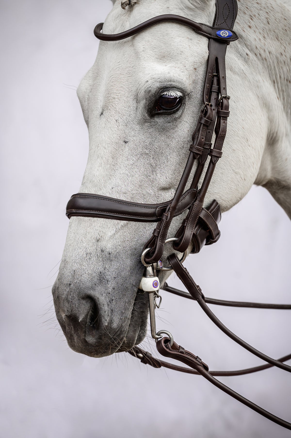 Double Bridle Paragon Brown Leather