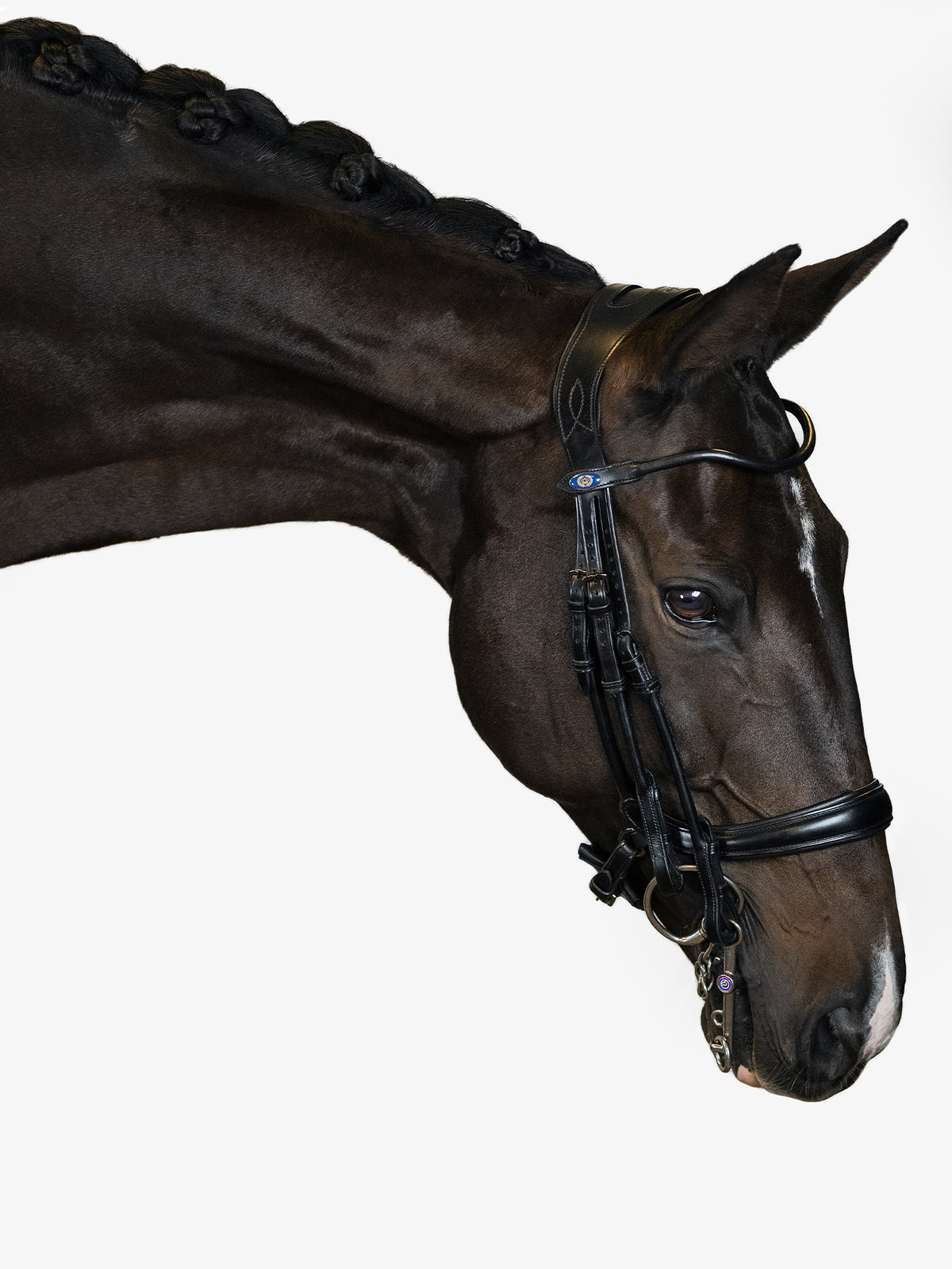 Double Bridle Paragon Black Leather