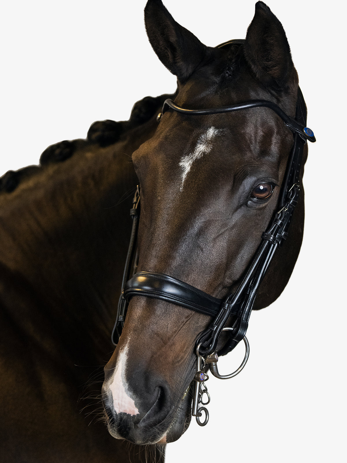 Double Bridle Paragon Black Leather
