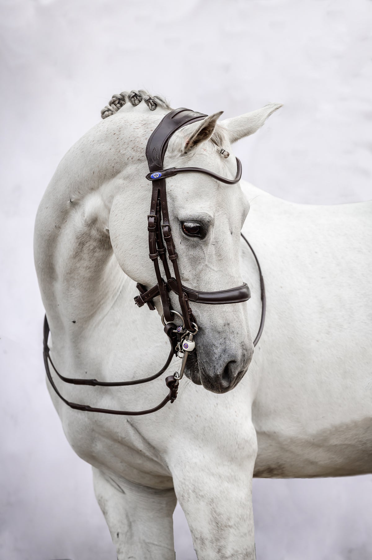 Double Bridle Paragon Black Leather