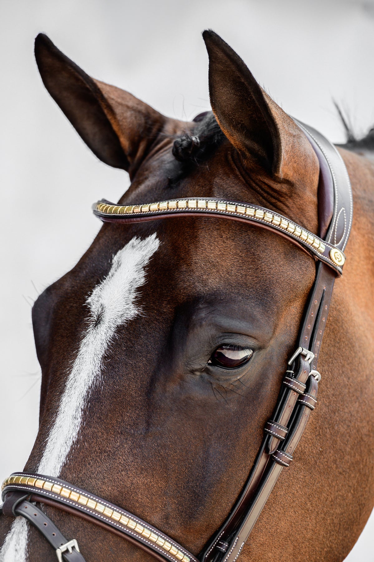 Browband Gold Clincher Pro Brown Leather