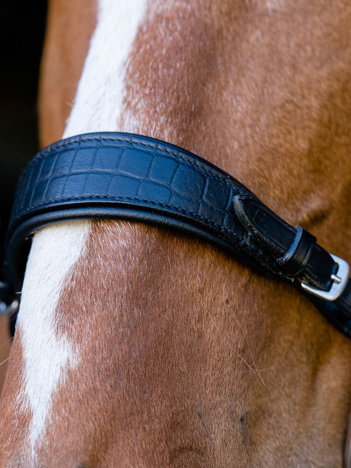 Noseplate Hackamore Matte Croco Brown Leather