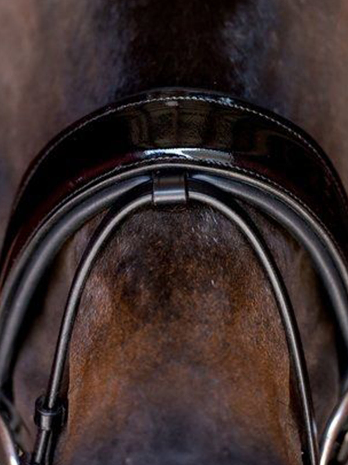 Flash Holder Magic - Black Leather