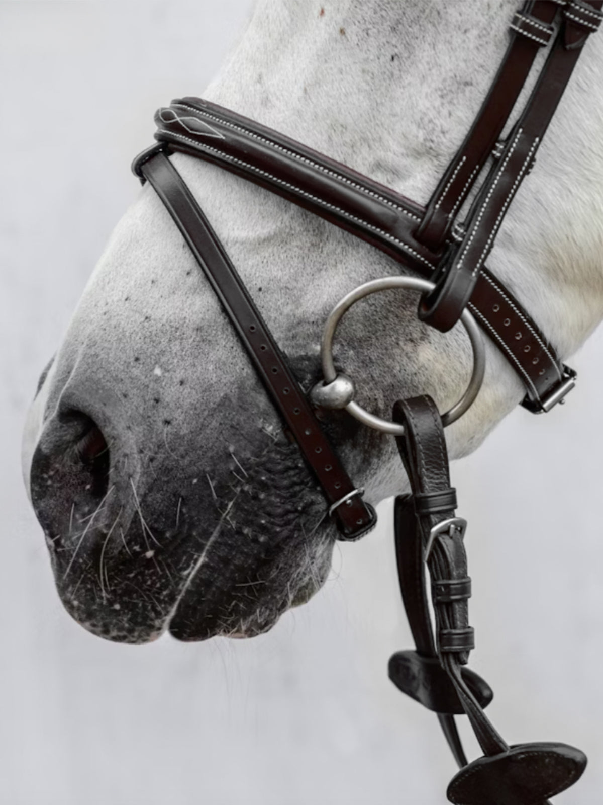 Noseband Fancy Stitching PRO - Black Leather