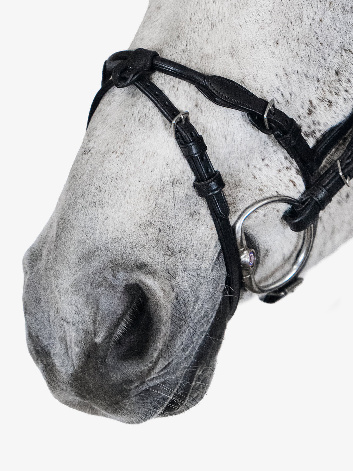 Noseband HvE - Black Leather