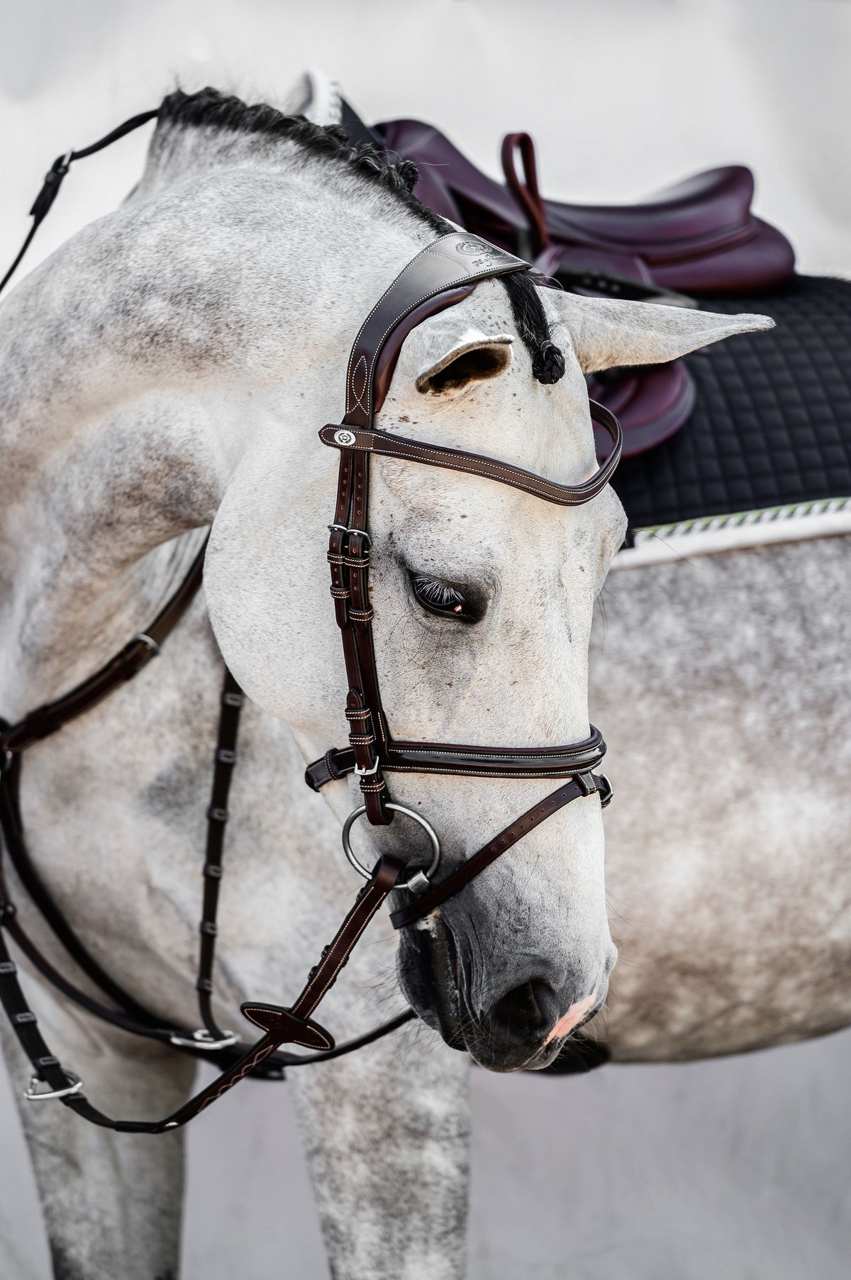 Noseband Lacquered PRO - Brown Leather