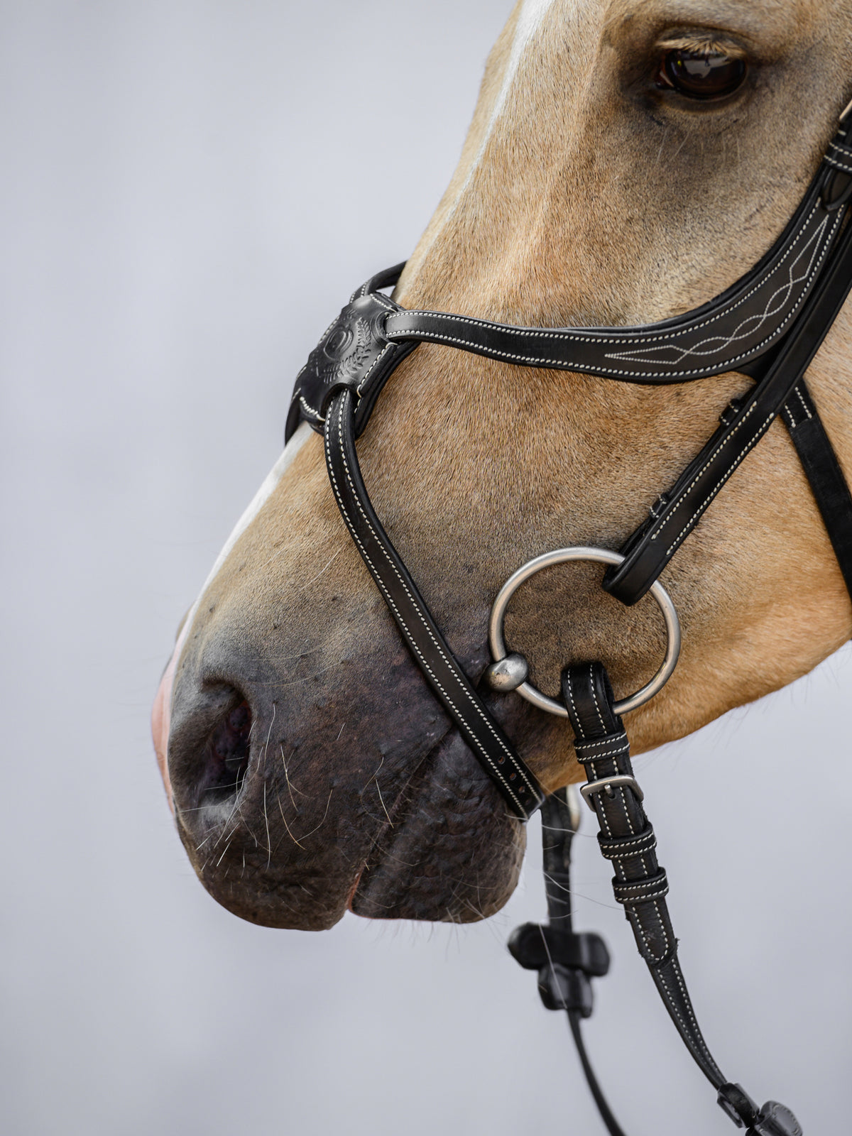Noseband Mexican PRO Black Leather
