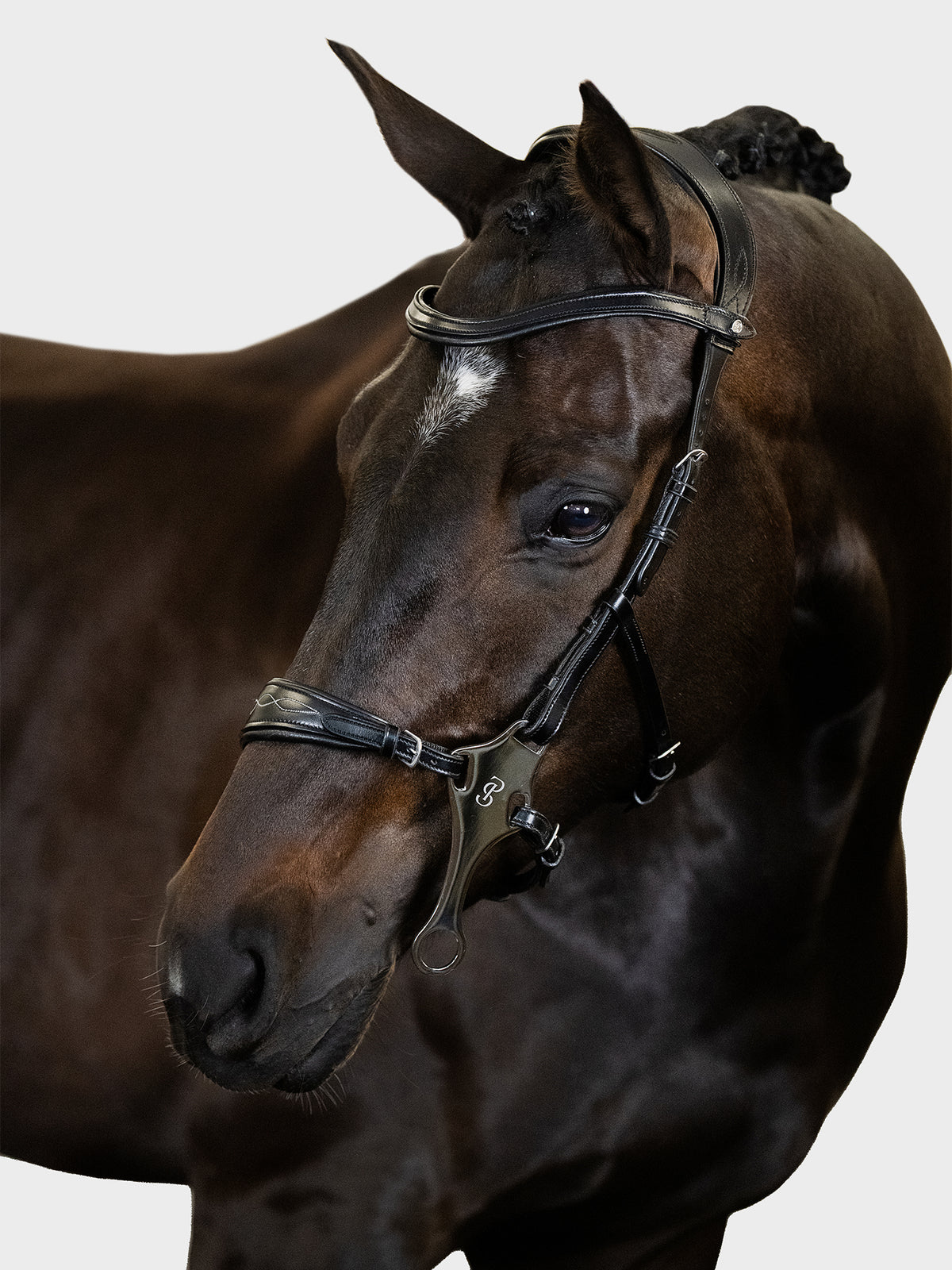Bridle Hackamore Sport Black Leather