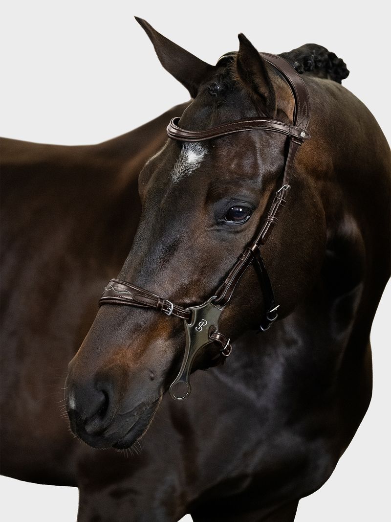 Bridle Hackamore Sport Brown Leather