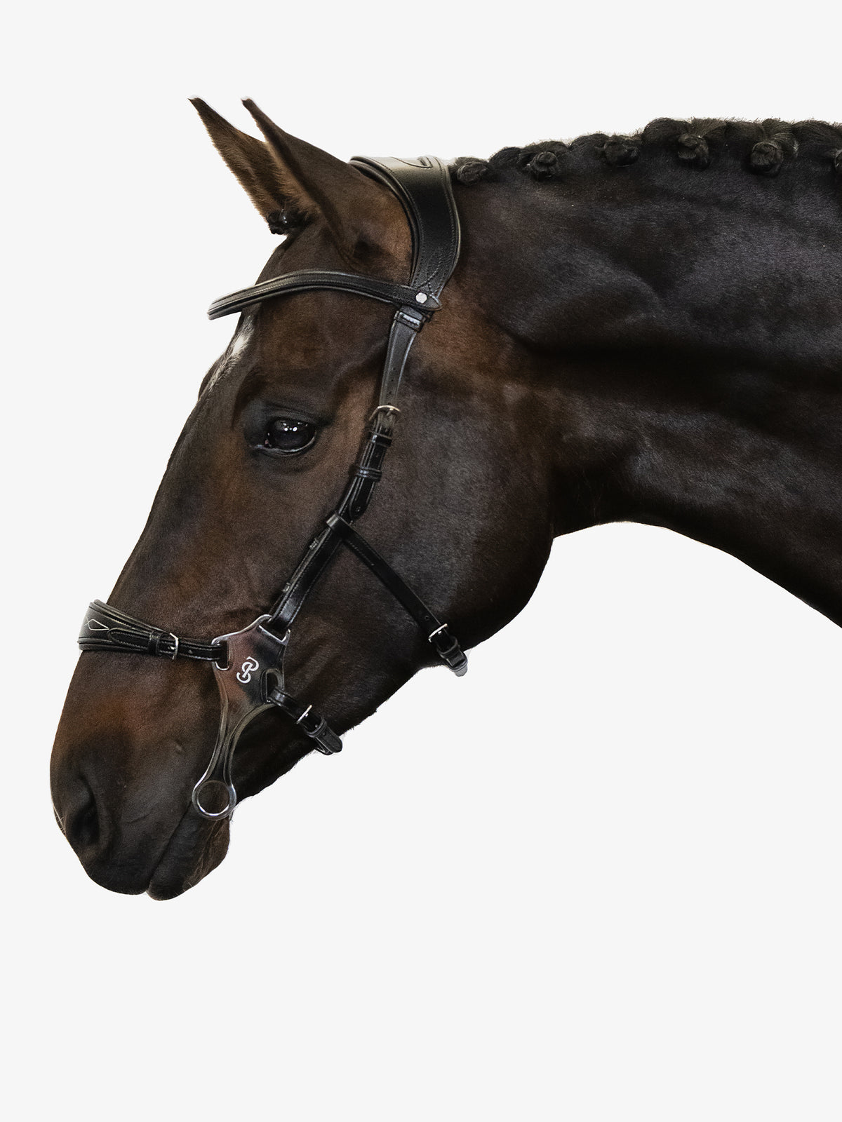 Bridle Hackamore Sport Black Leather