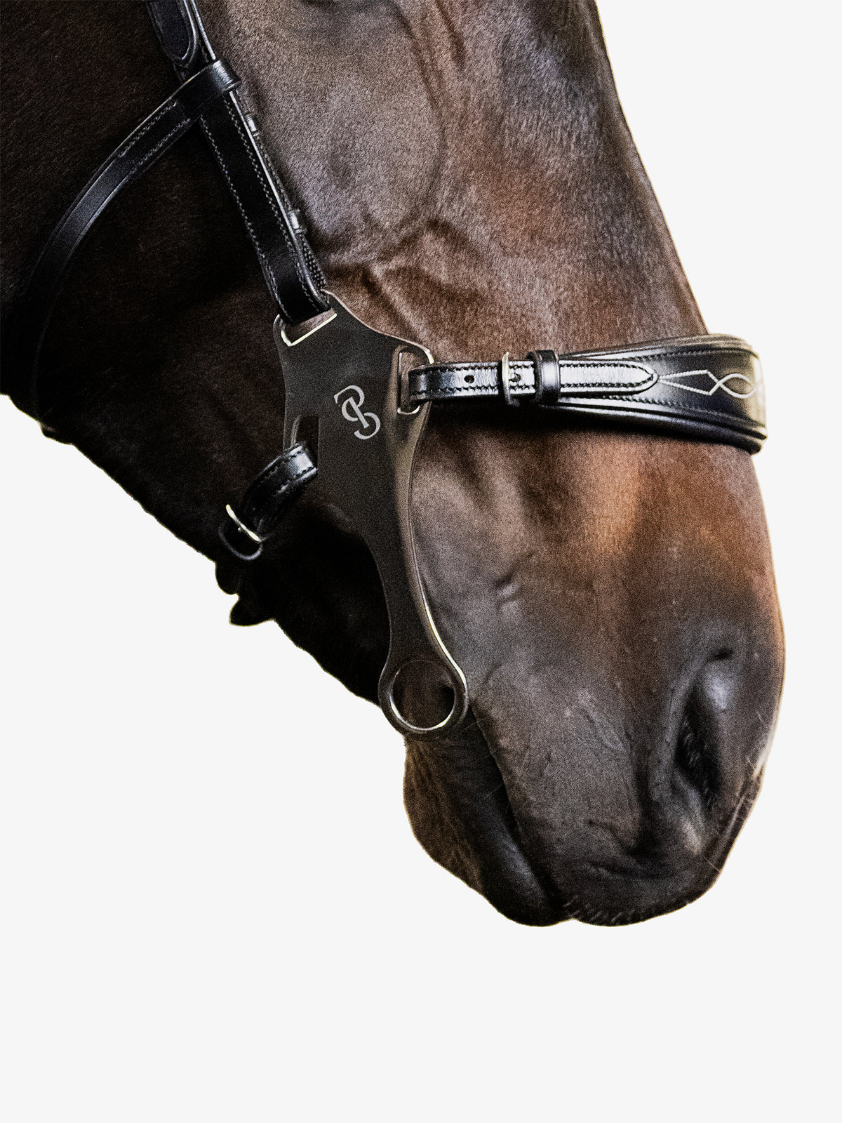 Bridle Hackamore Sport Black Leather