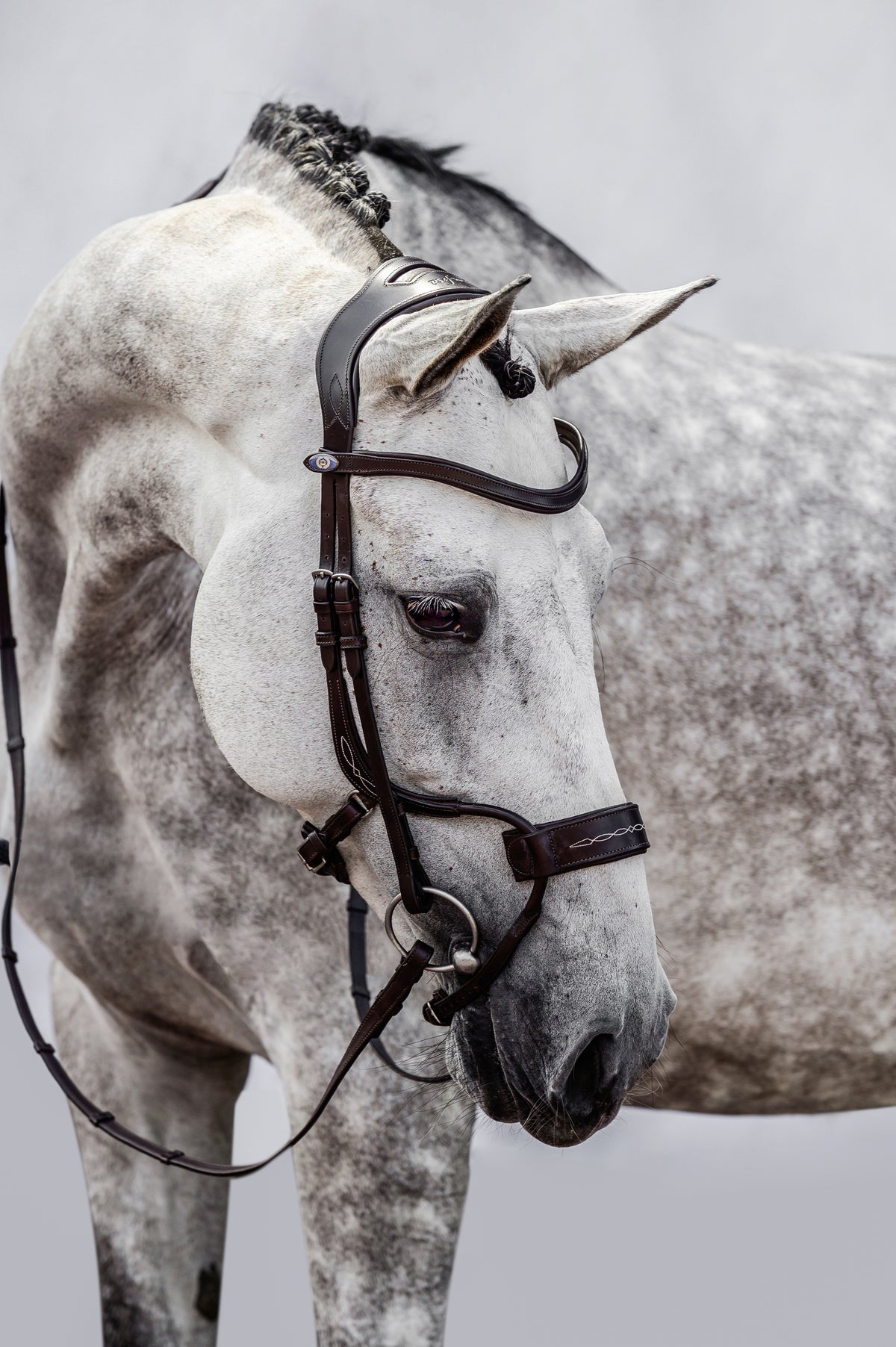 Bridle High Jump Black Leather