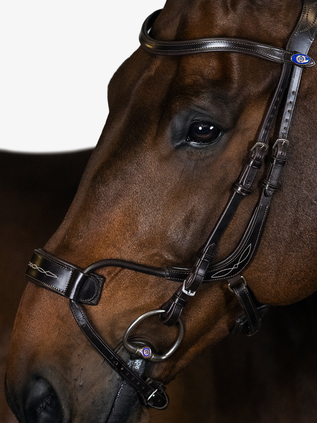 Bridle High Jump Brown Leather