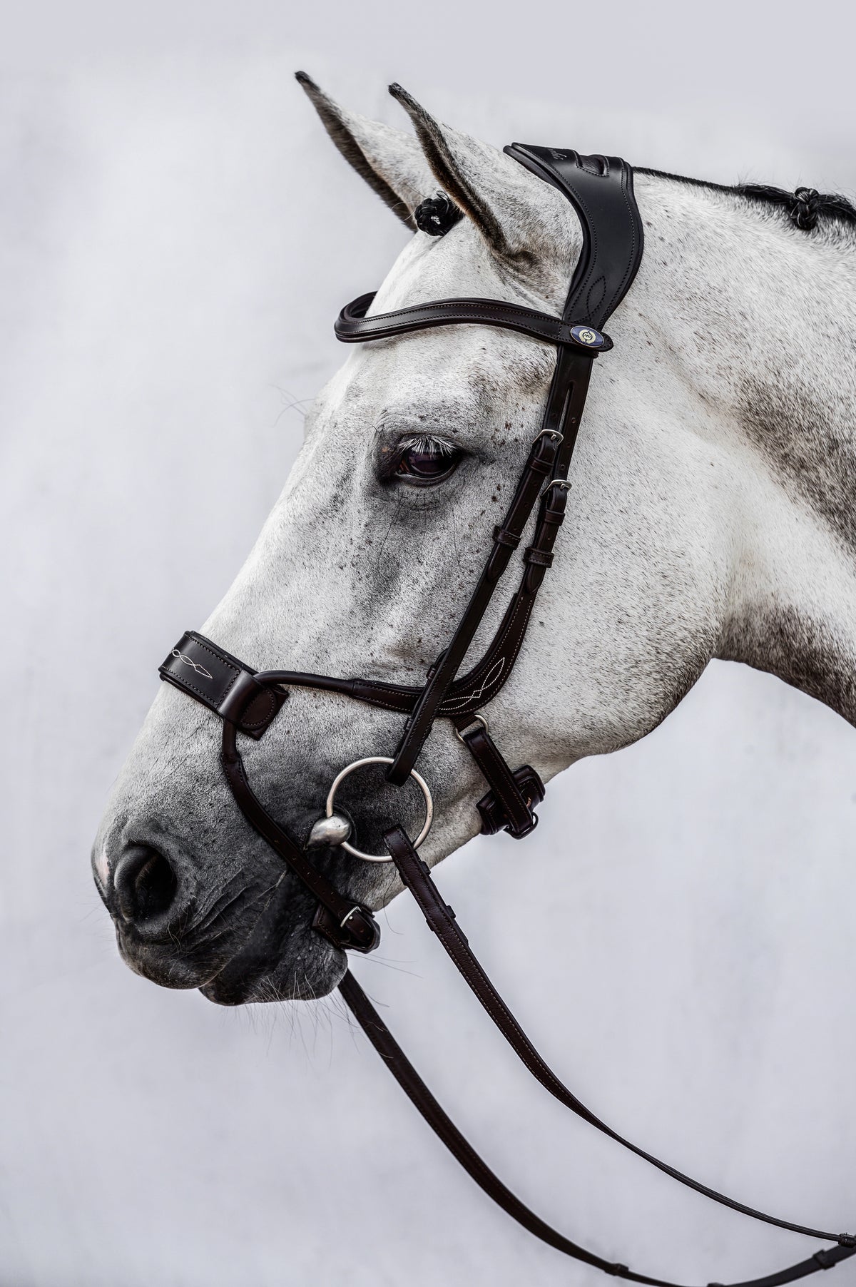Bridle High Jump Black Leather