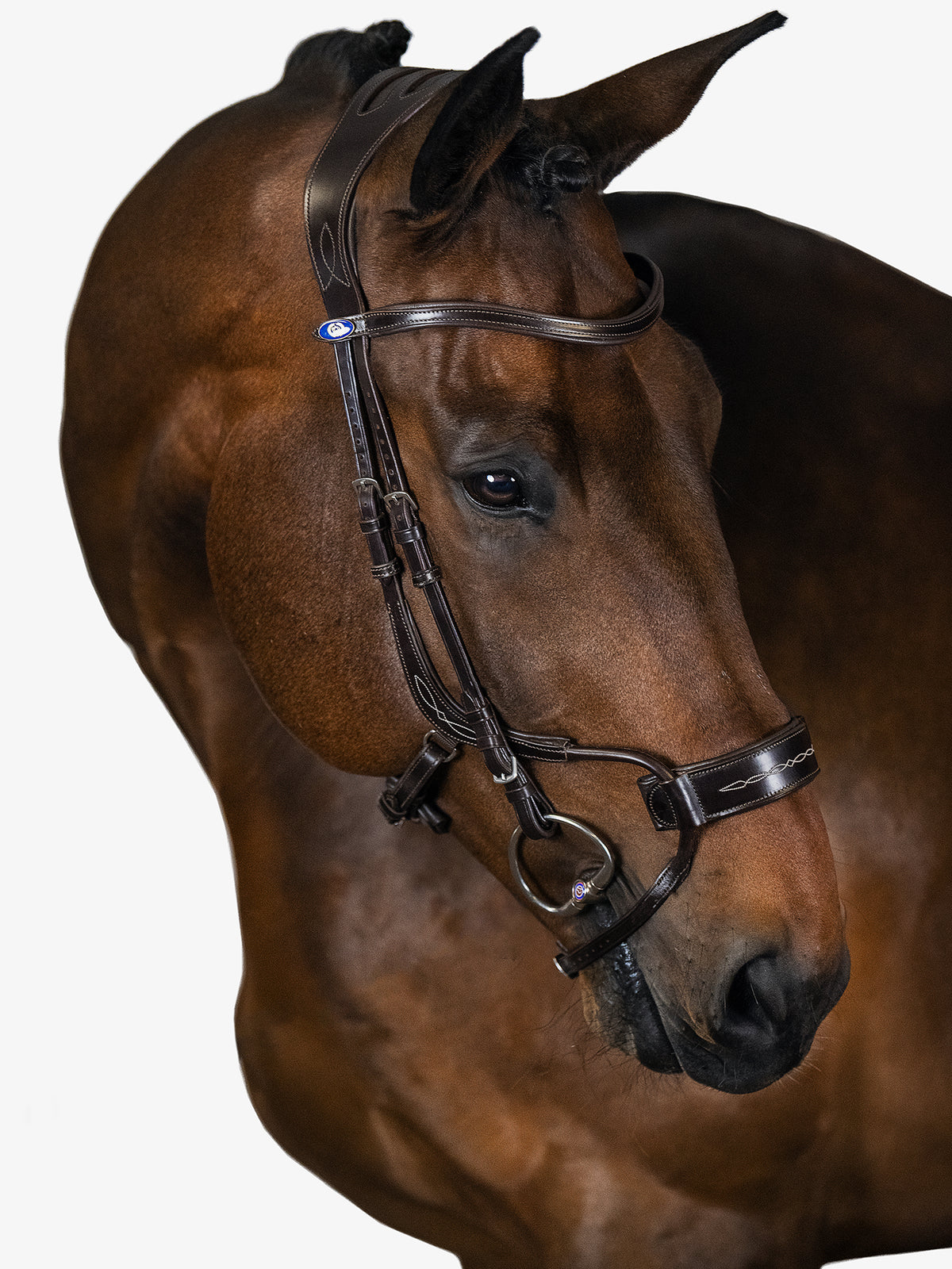 Bridle High Jump Brown Leather
