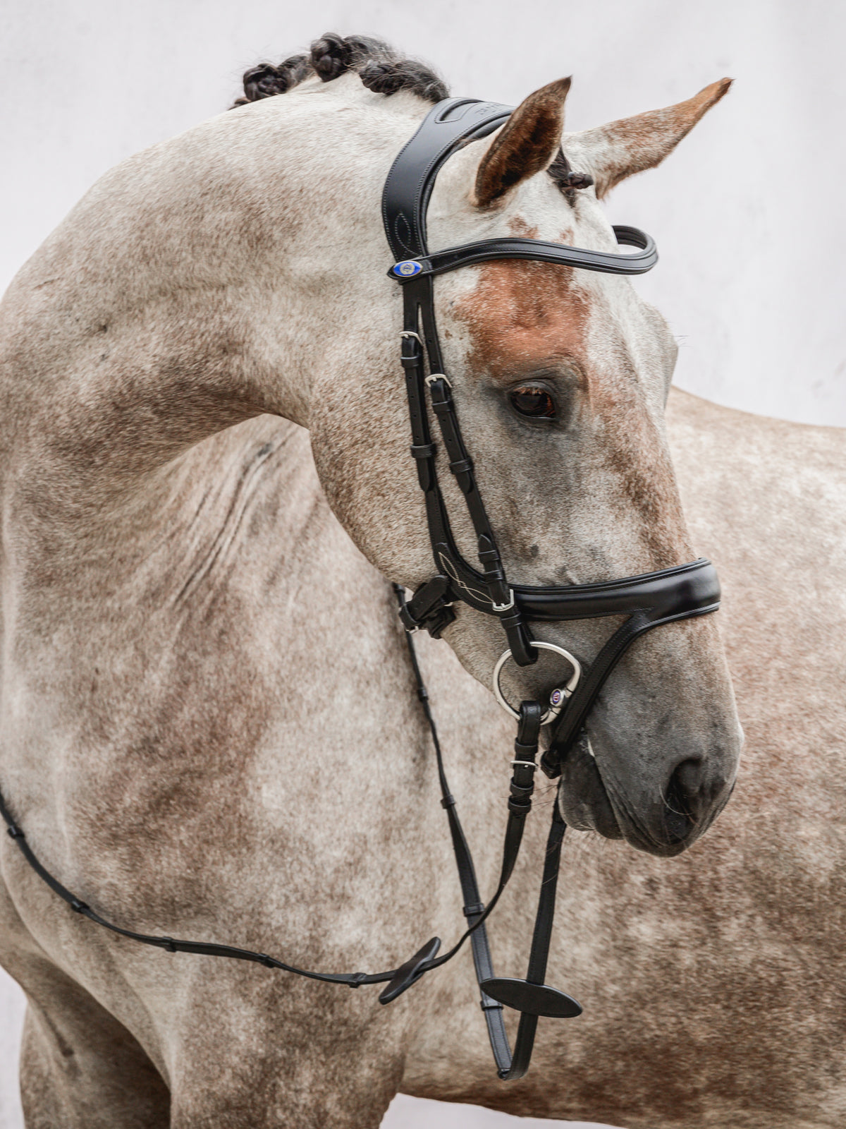Bridle Jump Off Black Leather
