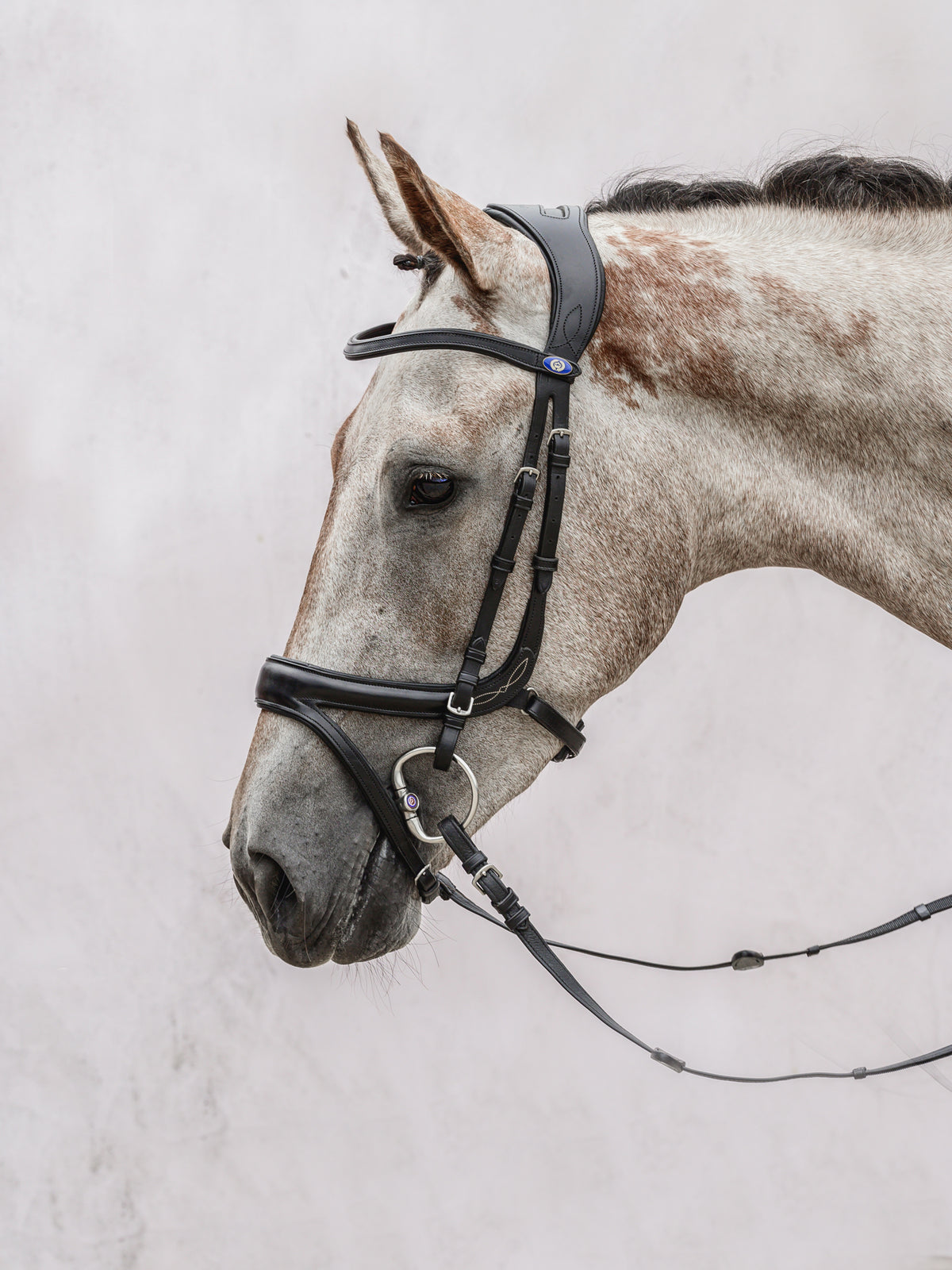 Bridle Jump Off Black Leather