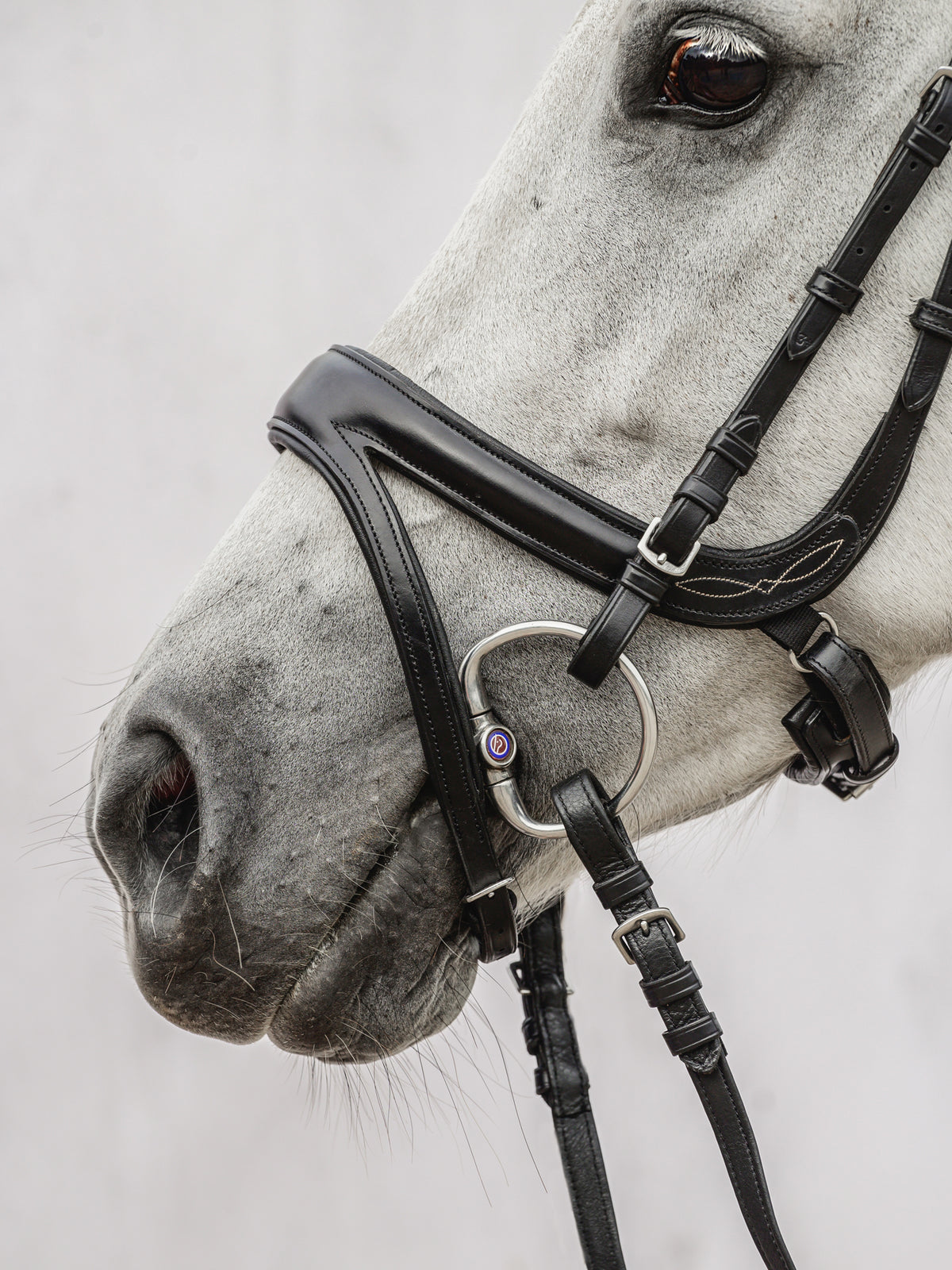 Bridle Jump Off Black Leather