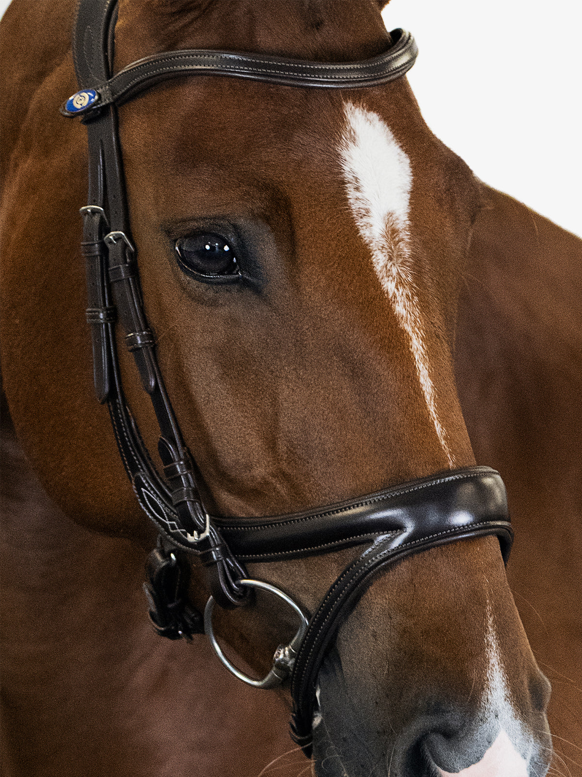 Bridle Jump Off Brown Leather