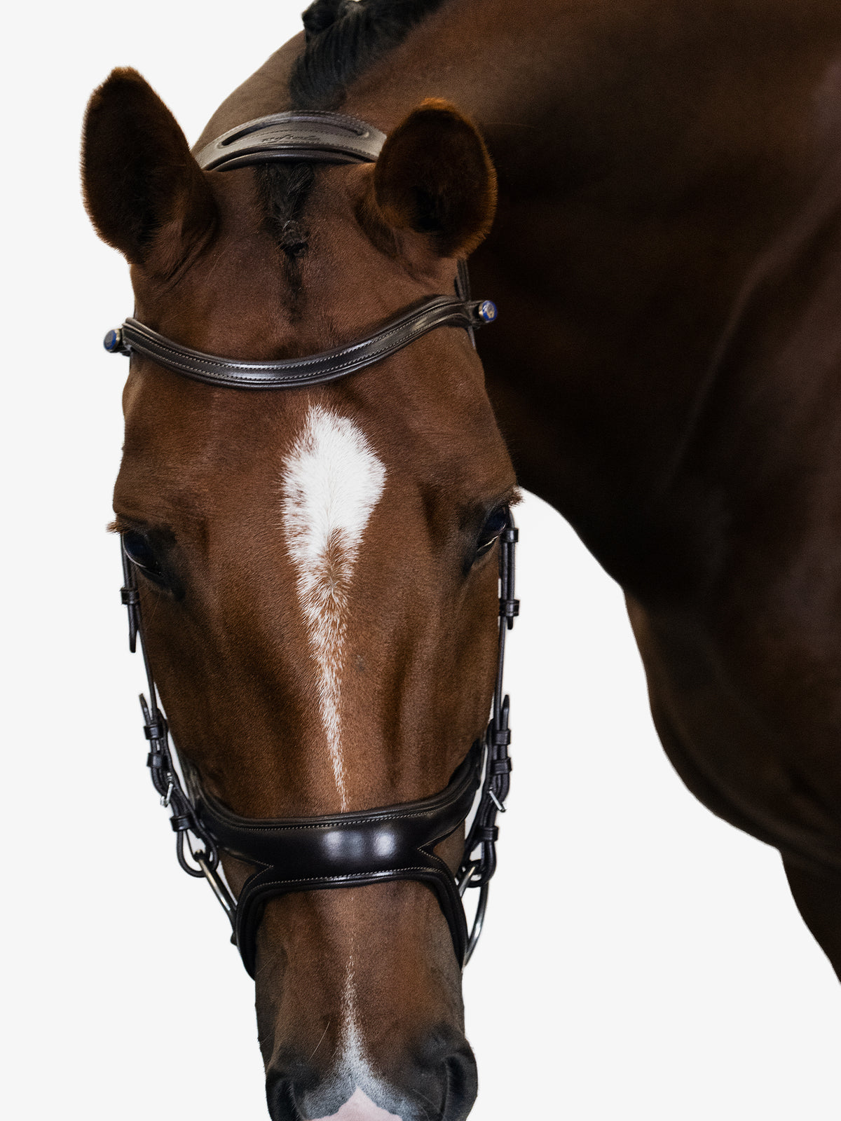 Bridle Jump Off Brown Leather