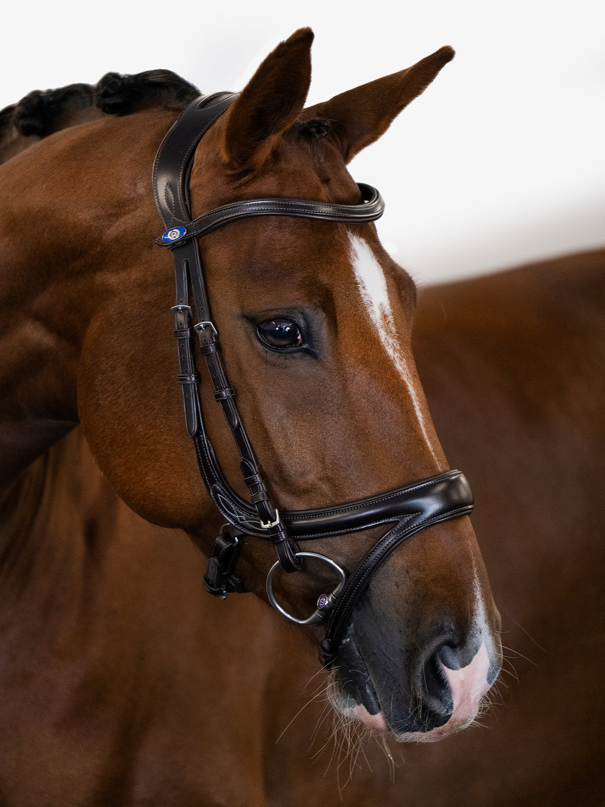 Bridle Jump Off Brown Leather