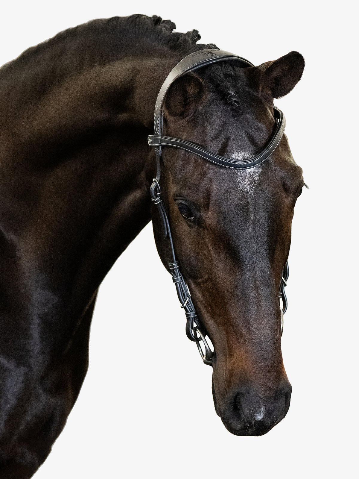Bridle Helsinki Black Leather